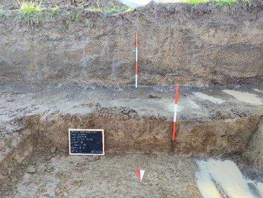 Archaeological documentation · Sessa Aurunca